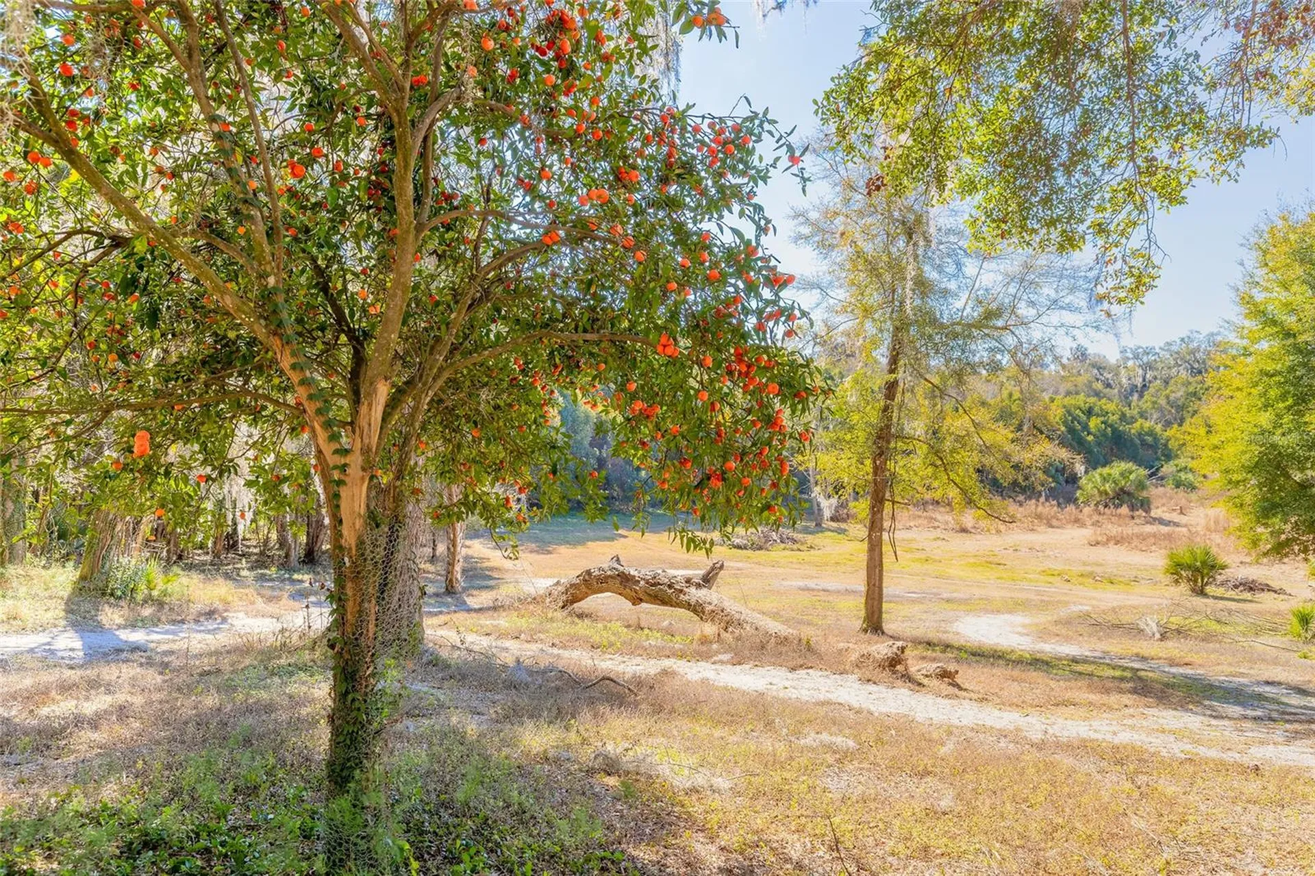 2095 Stone Road Deland FL 32720
