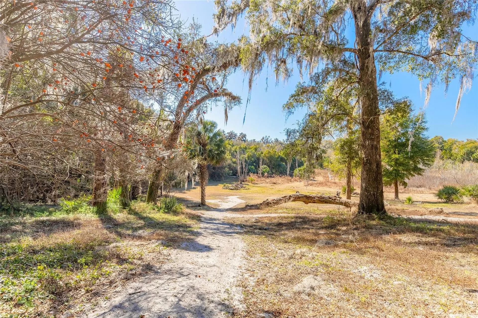 2095 Stone Road Deland FL 32720