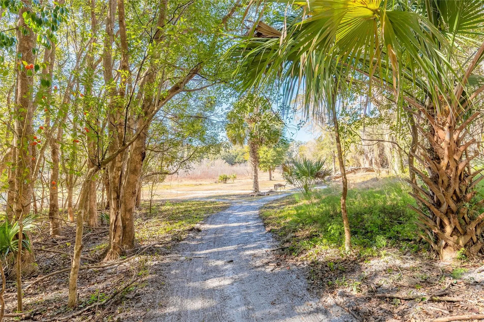2095 Stone Road Deland FL 32720