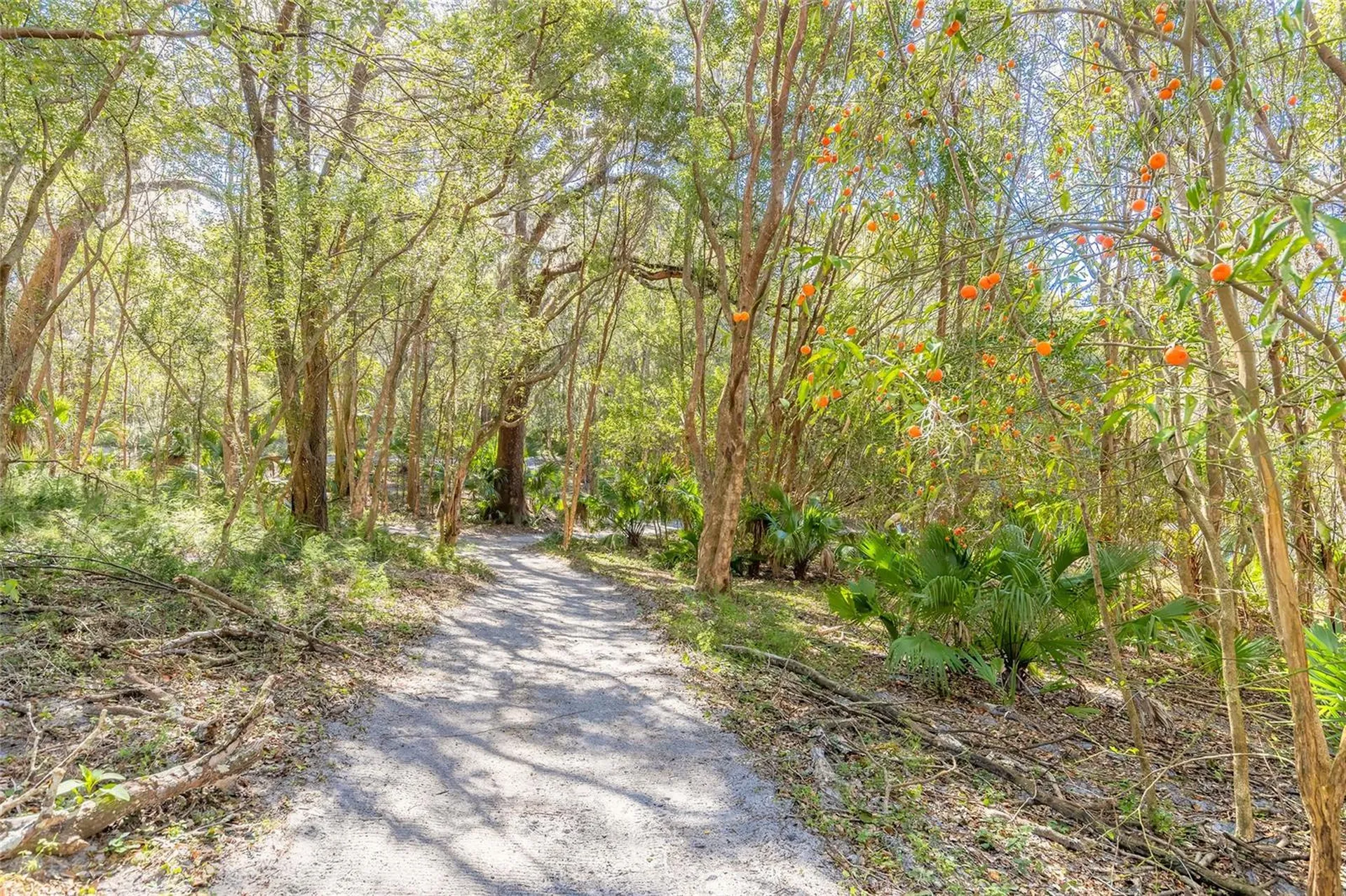 2095 Stone Road Deland FL 32720