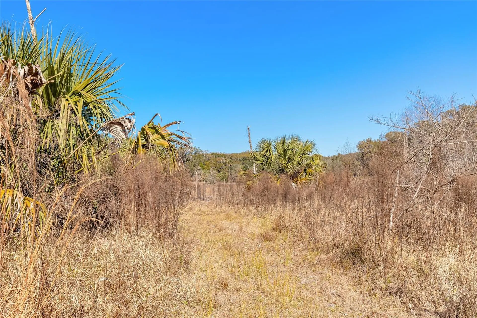 2095 Stone Road Deland FL 32720