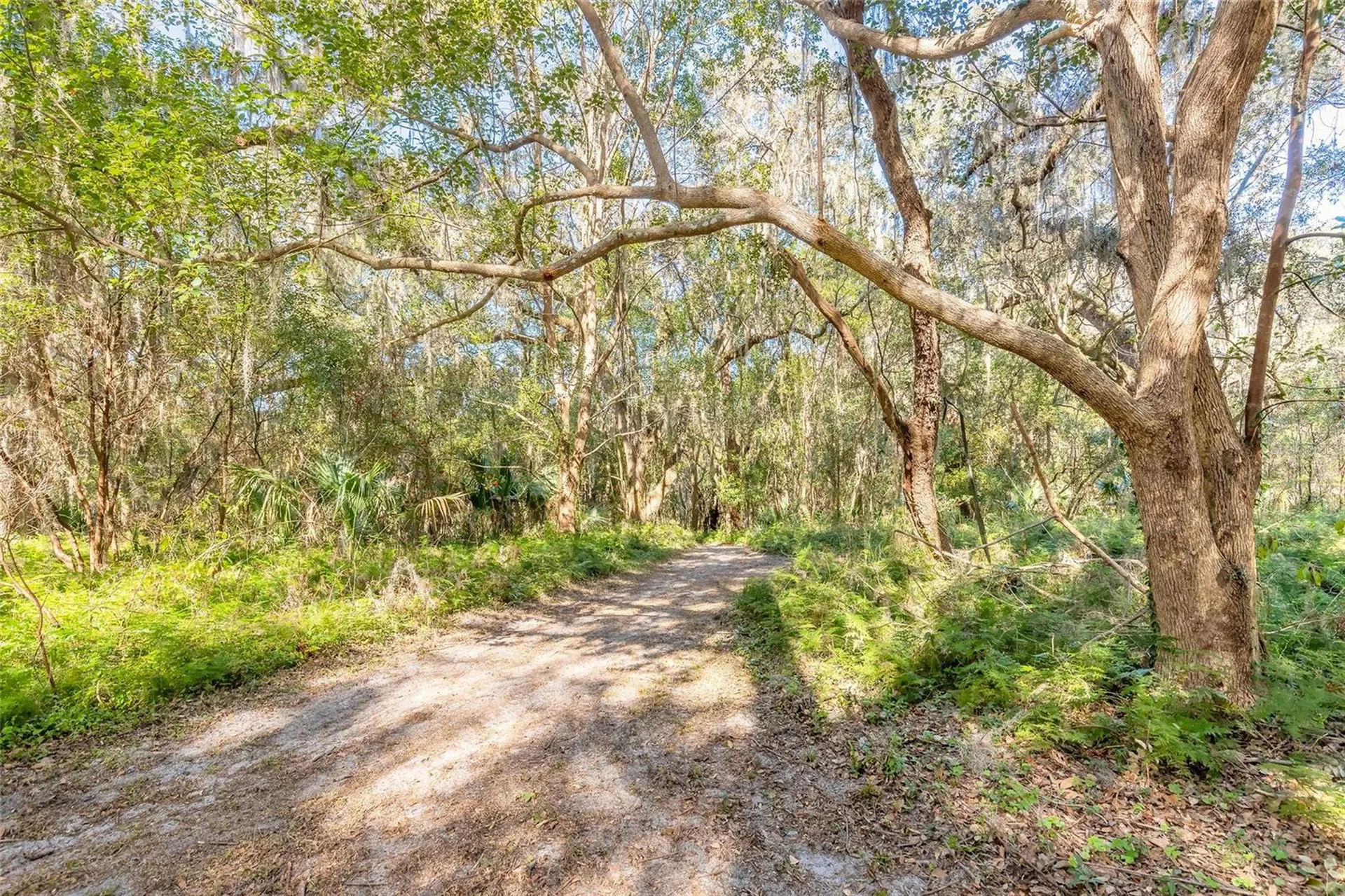 2095 Stone Road Deland FL 32720