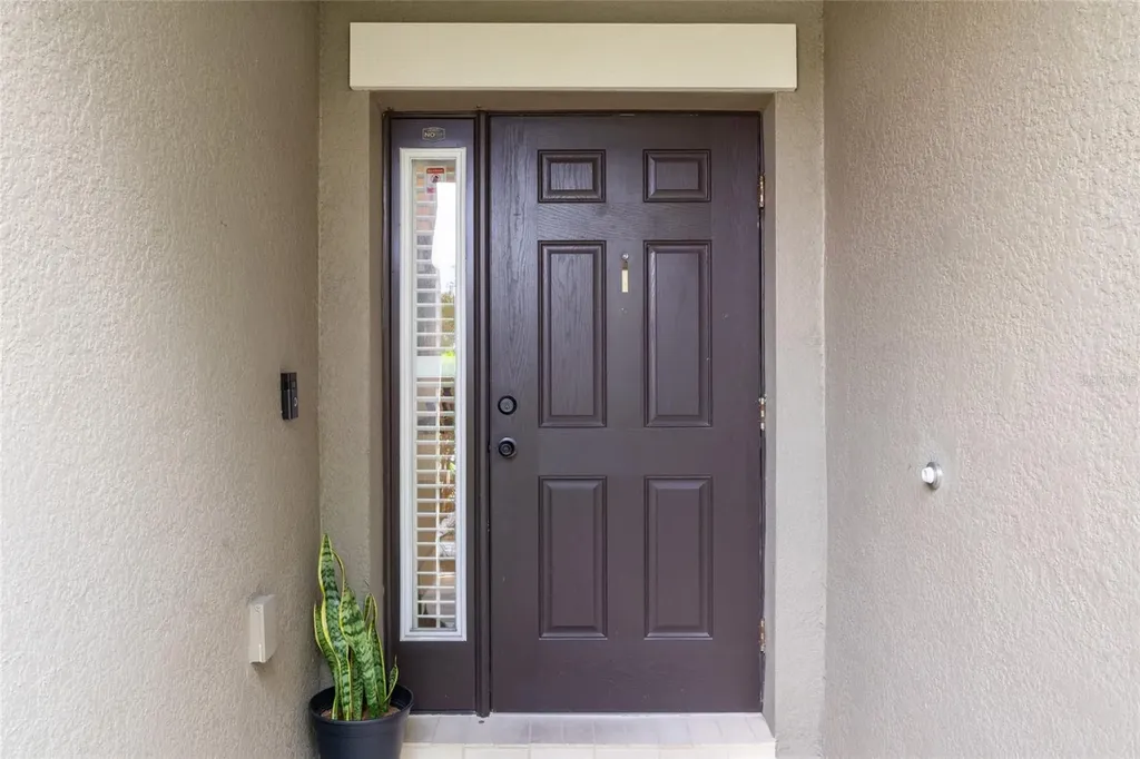 11528 Palmetto Pine Street Riverview FL 33569