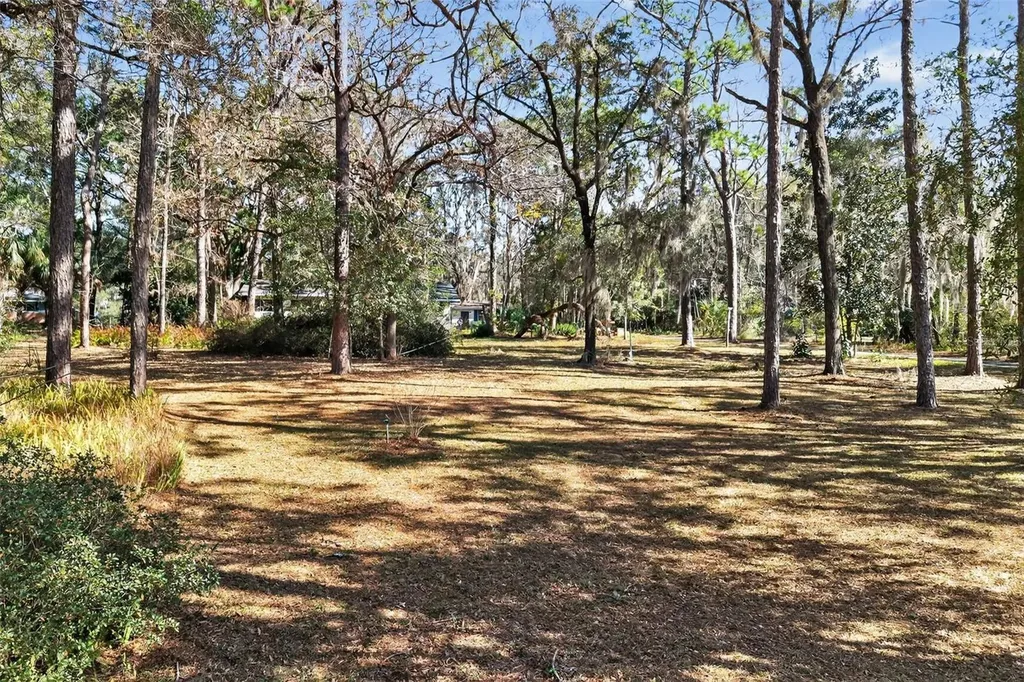 1741 N Crooked Branch Drive Lecanto FL 34461