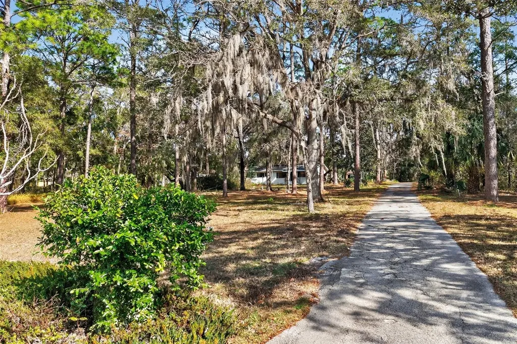1741 N Crooked Branch Drive Lecanto FL 34461