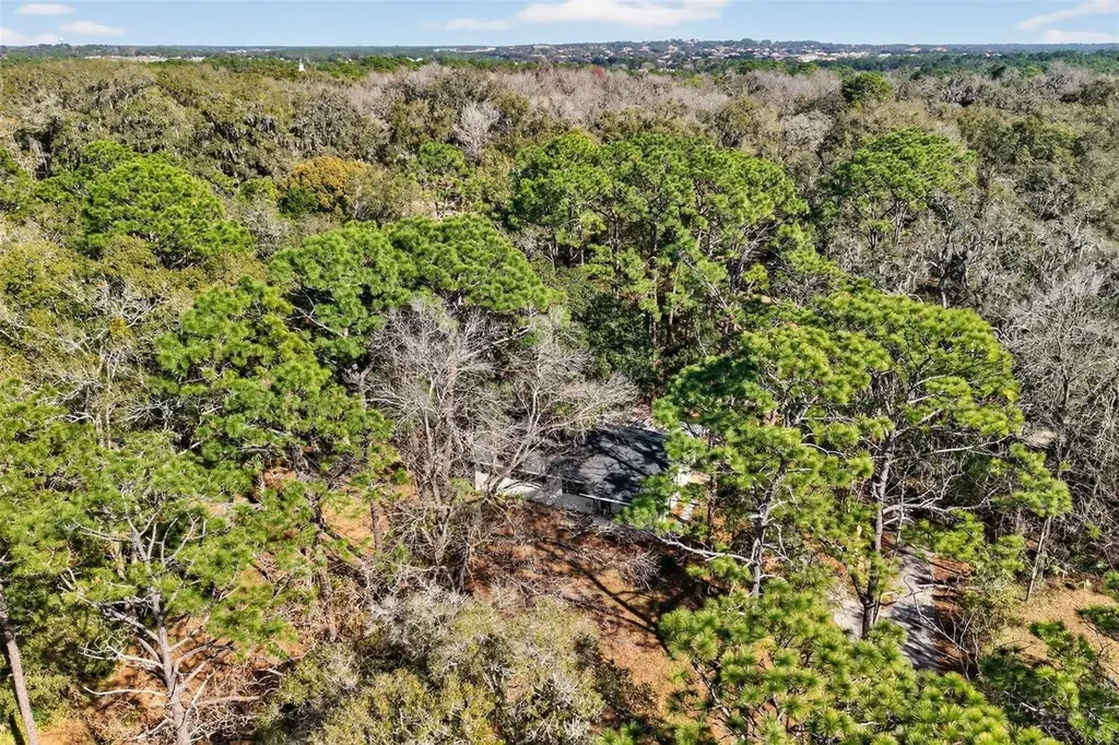 1741 N Crooked Branch Drive Lecanto FL 34461