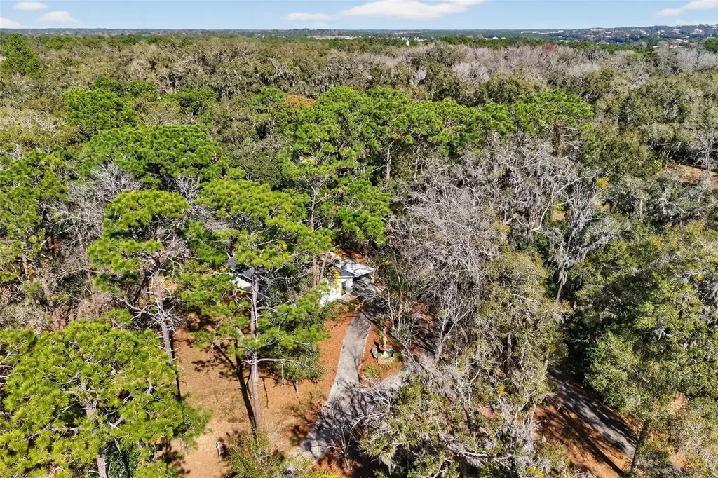 1741 N Crooked Branch Drive Lecanto FL 34461
