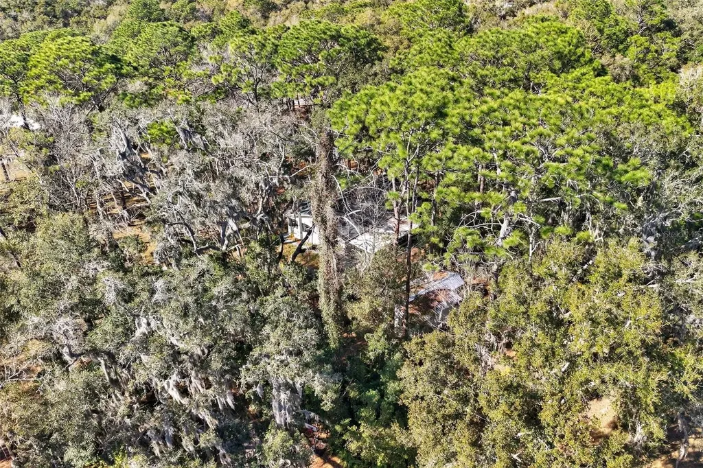 1741 N Crooked Branch Drive Lecanto FL 34461