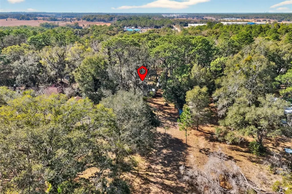 1741 N Crooked Branch Drive Lecanto FL 34461