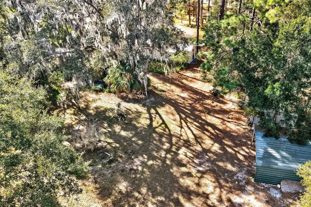 1741 N Crooked Branch Drive Lecanto FL 34461