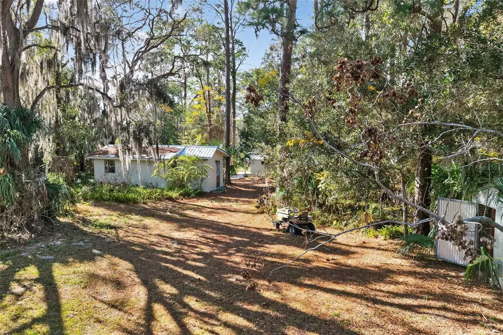 1741 N Crooked Branch Drive Lecanto FL 34461