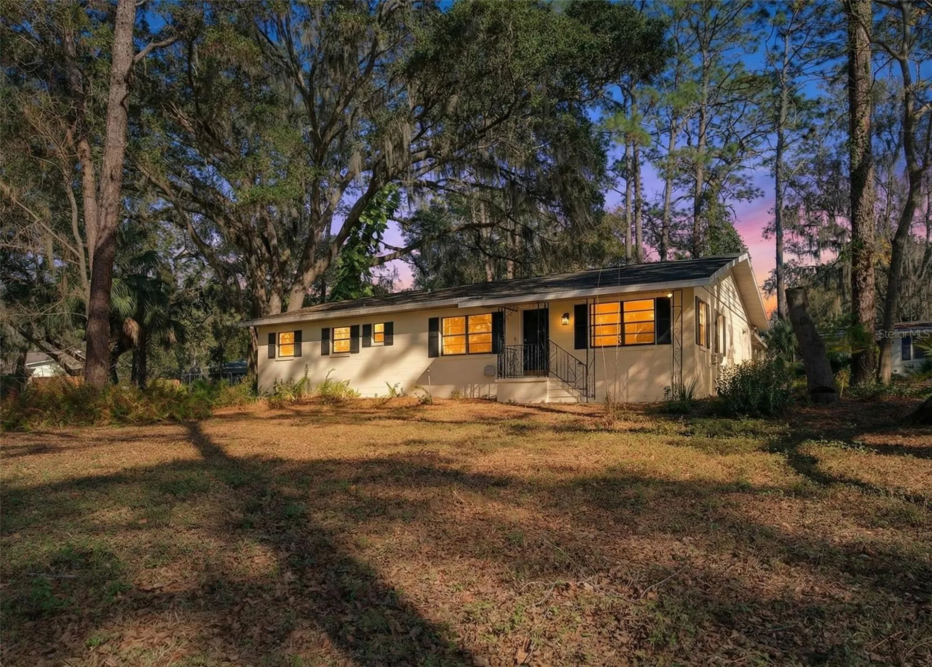 1741 N Crooked Branch Drive Lecanto FL 34461