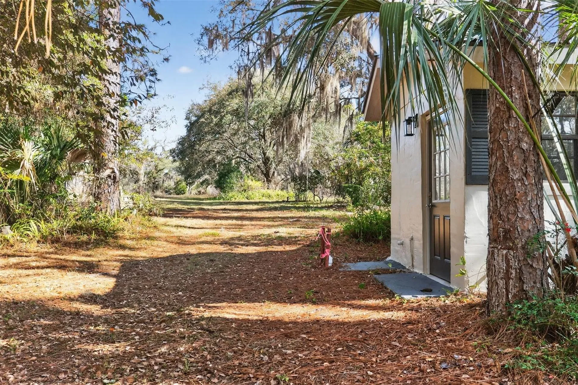1741 N Crooked Branch Drive Lecanto FL 34461