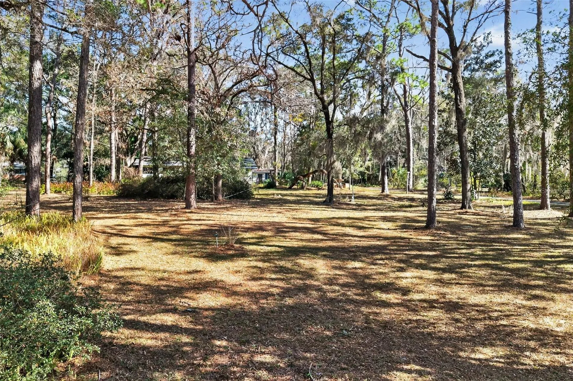 1741 N Crooked Branch Drive Lecanto FL 34461