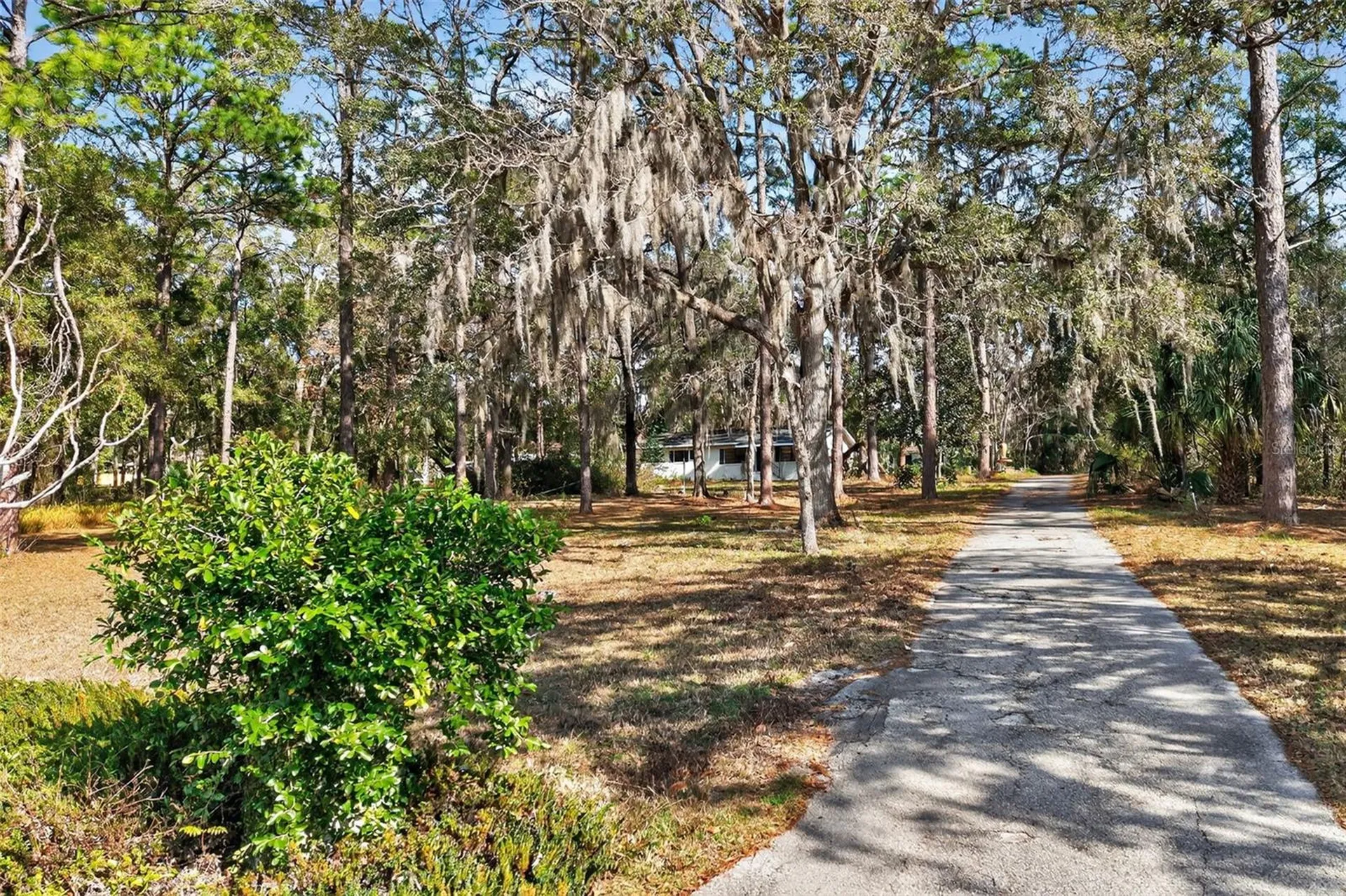 1741 N Crooked Branch Drive Lecanto FL 34461