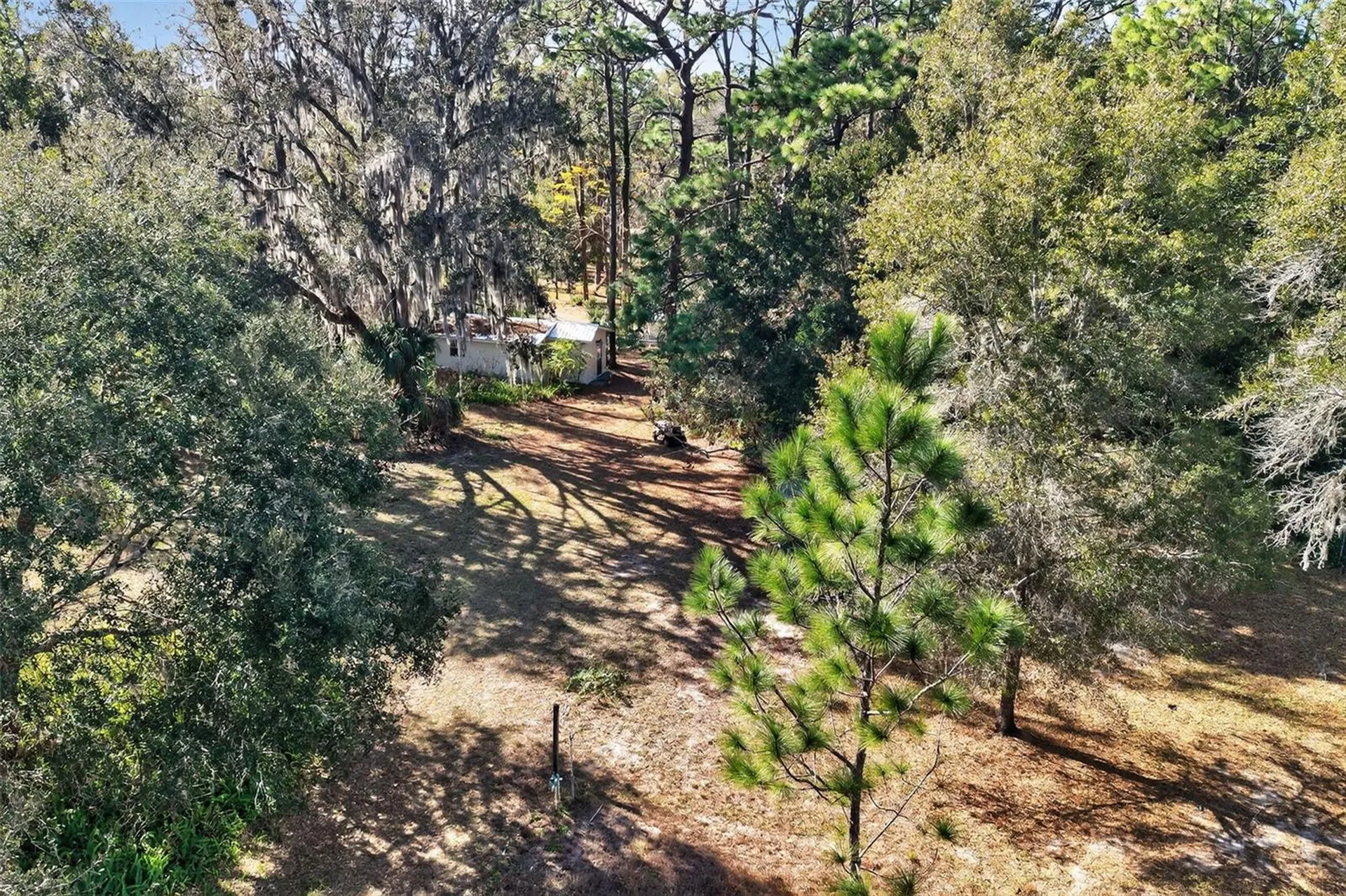 1741 N Crooked Branch Drive Lecanto FL 34461