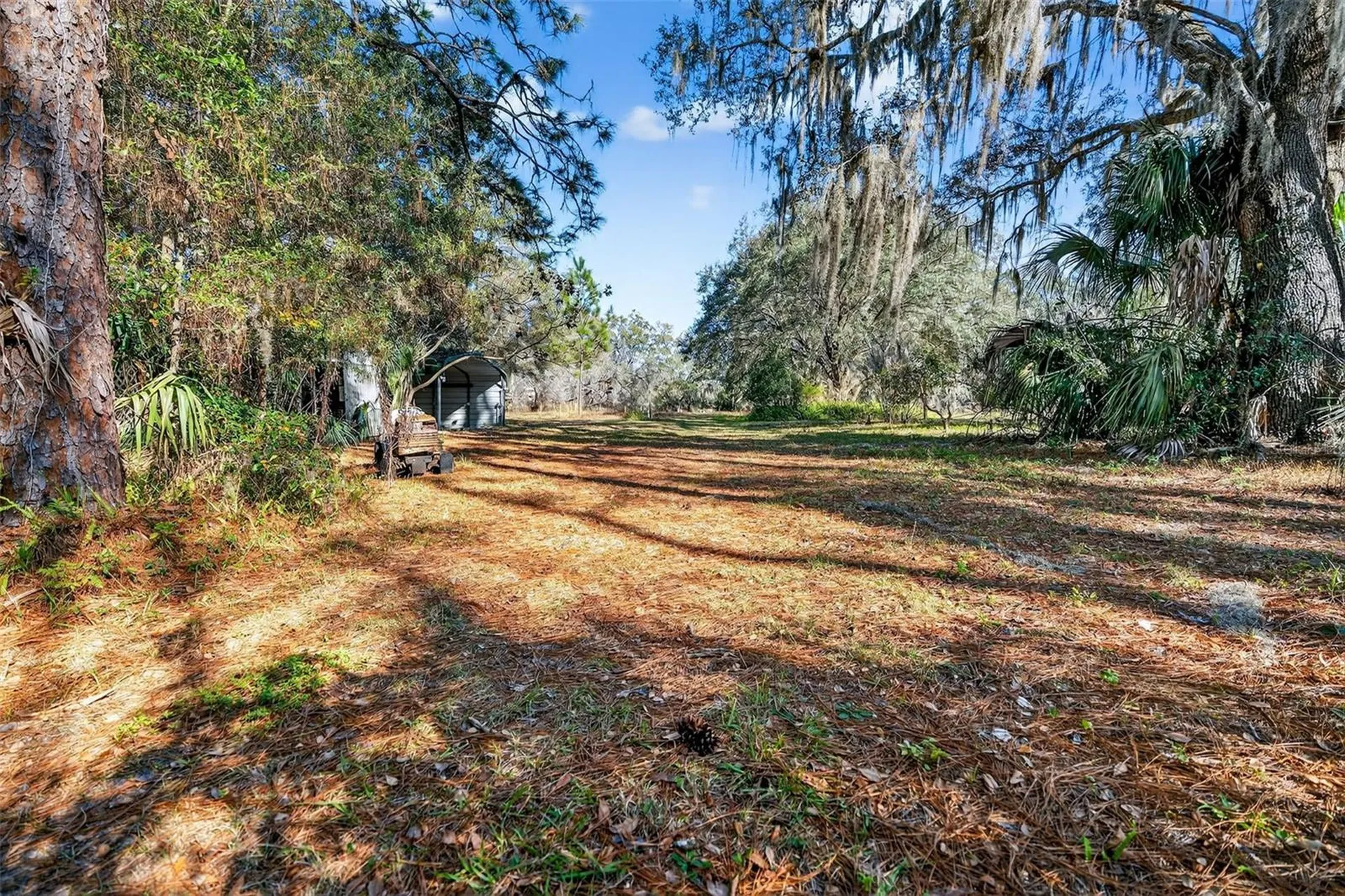 1741 N Crooked Branch Drive Lecanto FL 34461