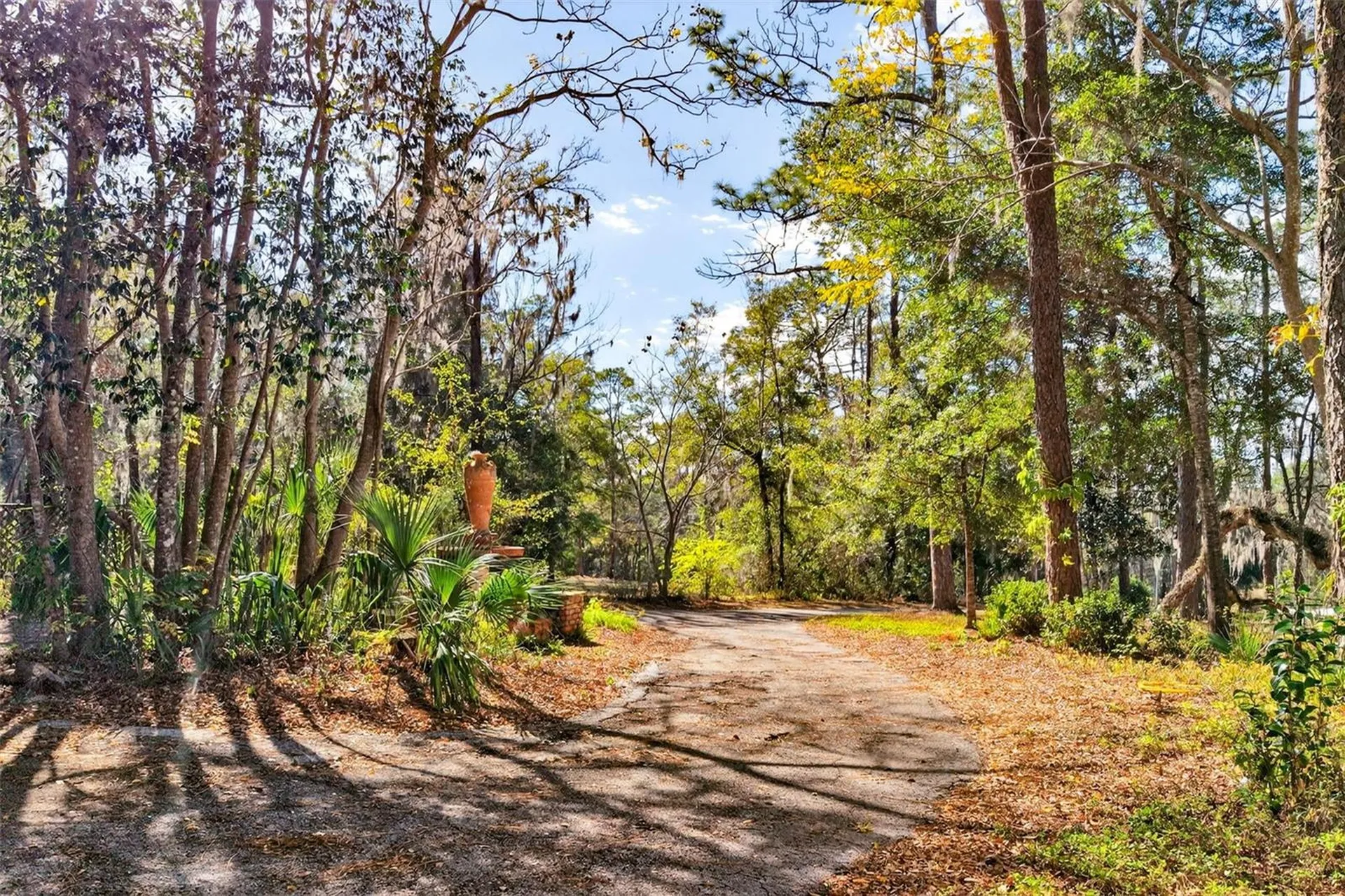 1741 N Crooked Branch Drive Lecanto FL 34461