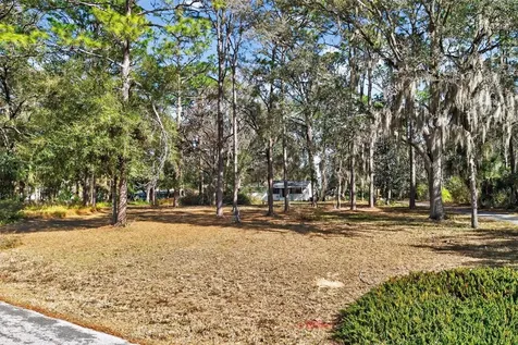 1741 N Crooked Branch Drive Lecanto FL 34461
