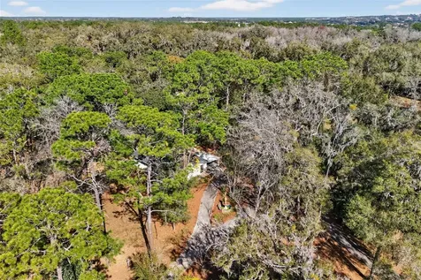 1741 N Crooked Branch Drive Lecanto FL 34461