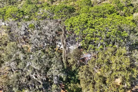 1741 N Crooked Branch Drive Lecanto FL 34461