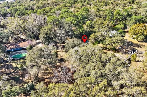 1741 N Crooked Branch Drive Lecanto FL 34461