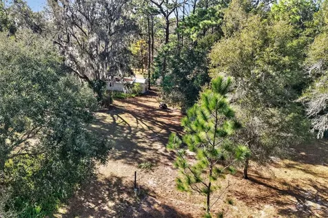 1741 N Crooked Branch Drive Lecanto FL 34461