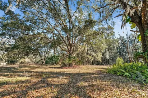1741 N Crooked Branch Drive Lecanto FL 34461