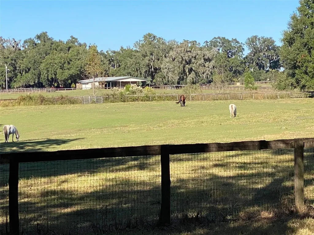 12020 N Us Highway 441 Ocala FL 34475