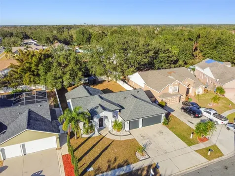 11528 Andy Drive Riverview FL 33569