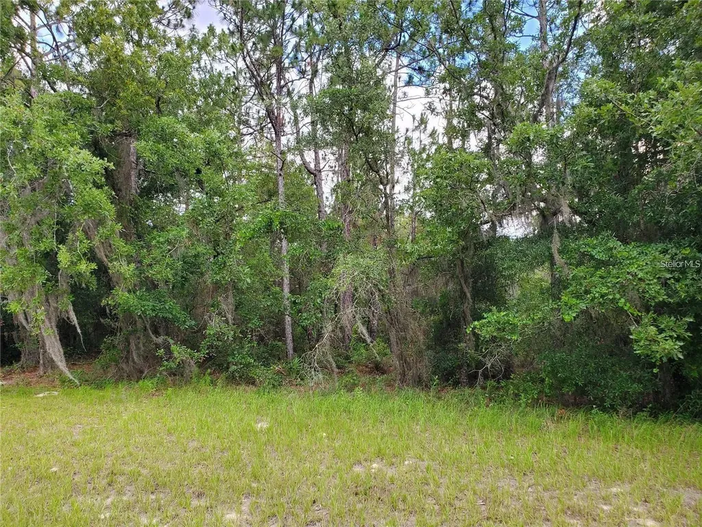 8650 SW 138 Lane Ocala FL 34473