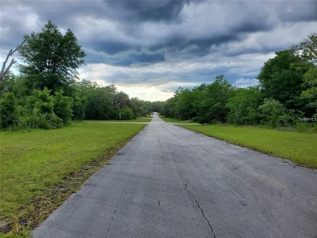 8650 SW 138 Lane Ocala FL 34473