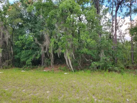 8650 SW 138 Lane Ocala FL 34473