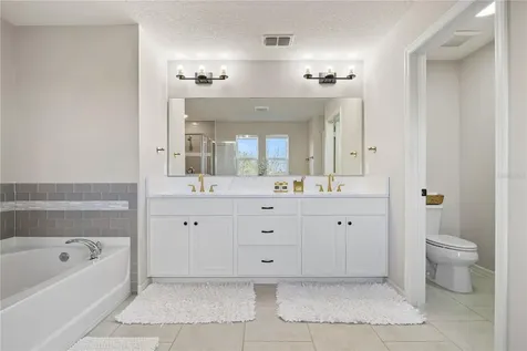 3035 Irish Peach Drive Winter Garden FL 34787