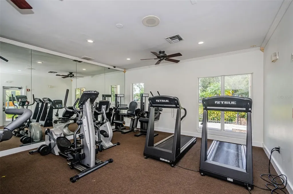 10114 Winsford Oak Boulevard Tampa FL 33624