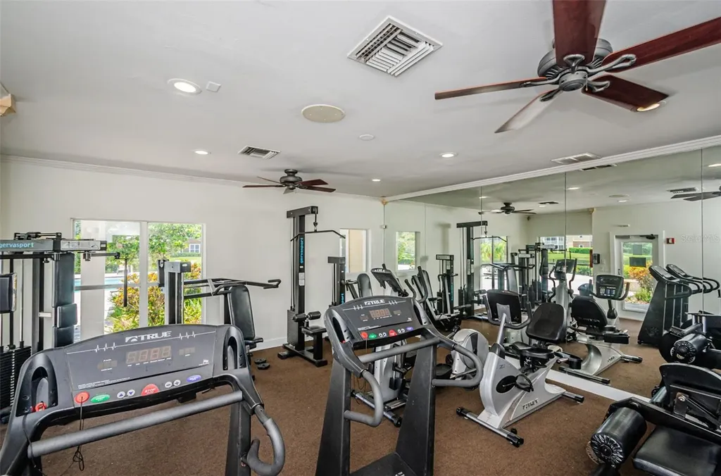 10114 Winsford Oak Boulevard Tampa FL 33624
