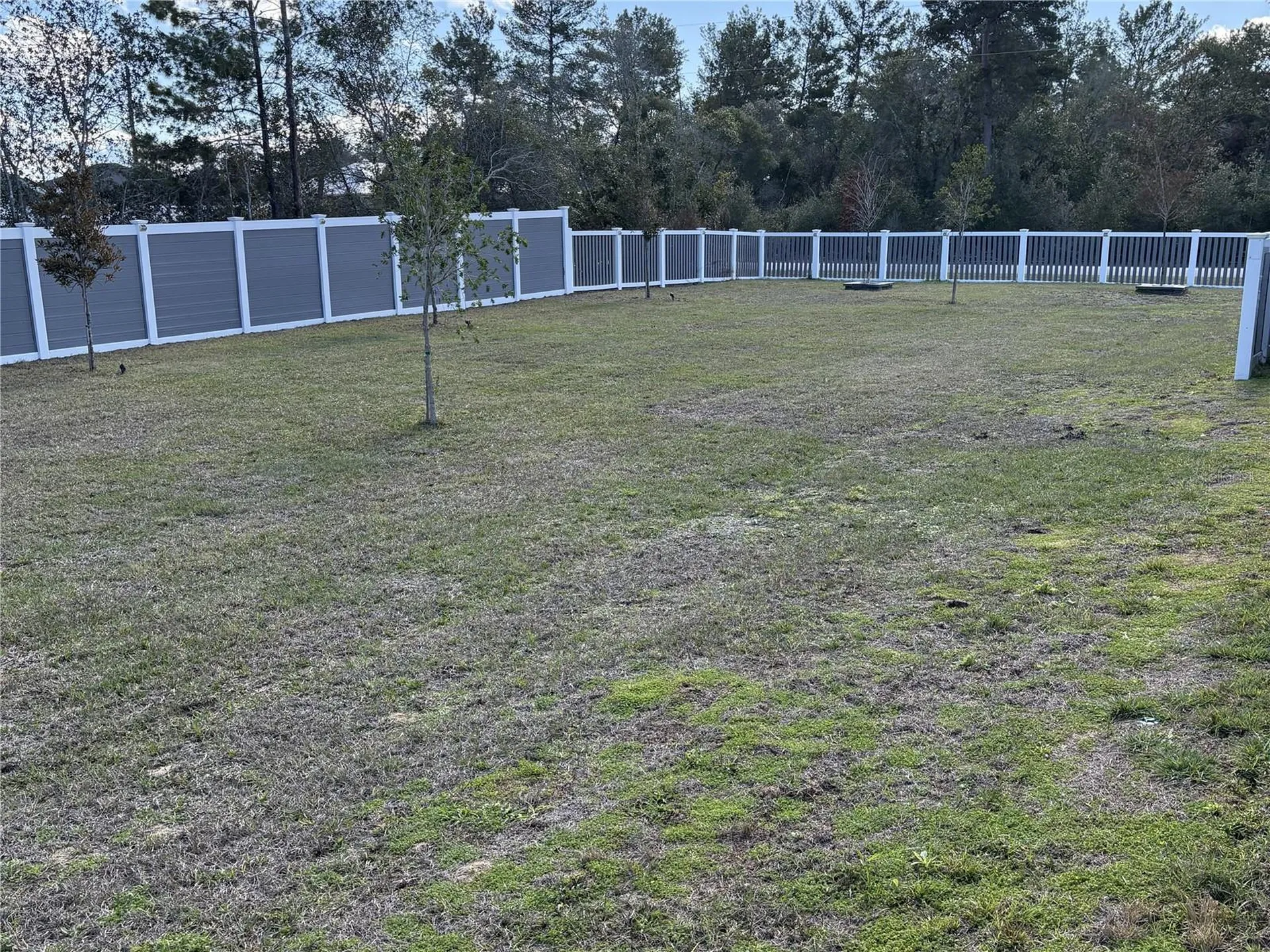 3957 SW 113th Place Ocala FL 34476