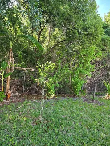 2756 Big Timber Drive Kissimmee FL 34758