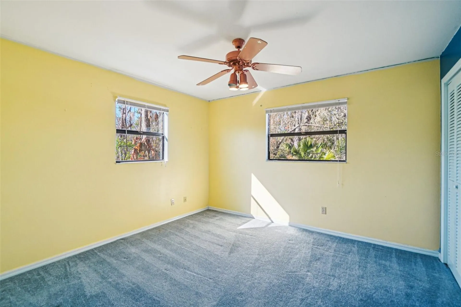 18411 Autumn Mist Drive Lutz FL 33549