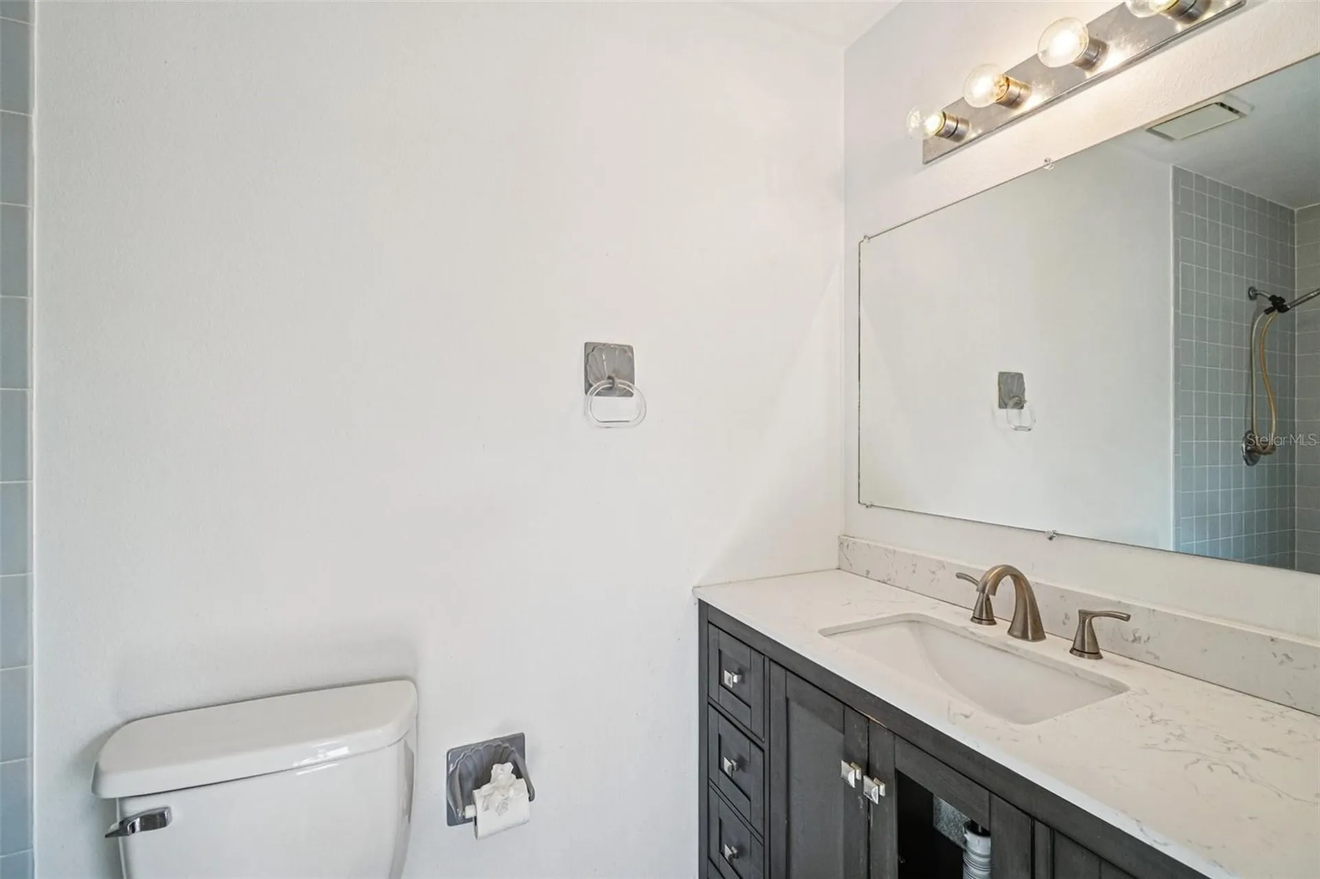18411 Autumn Mist Drive Lutz FL 33549