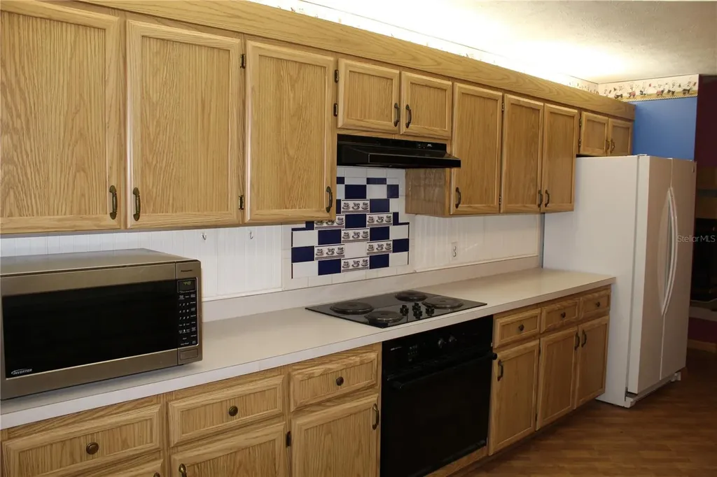 38901 Ella Drive Lady Lake FL 32159