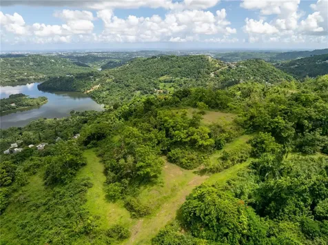Arr 942 Jaguas Gurabo PR 00778