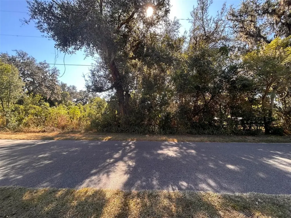 11119 Bessie Dix Road Seffner FL 33584