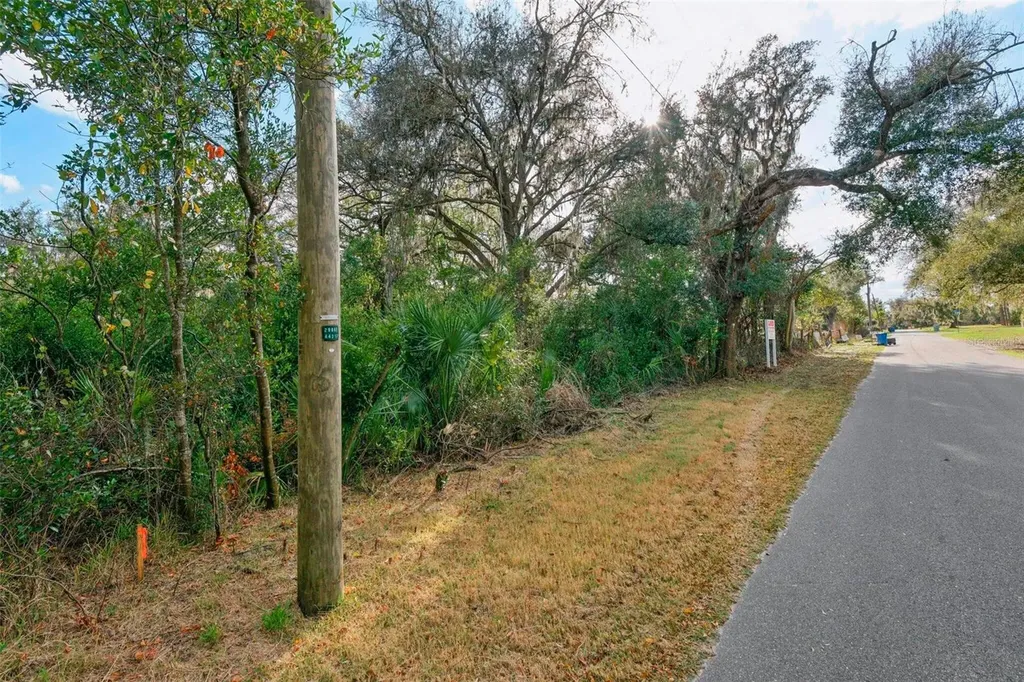 11119 Bessie Dix Road Seffner FL 33584