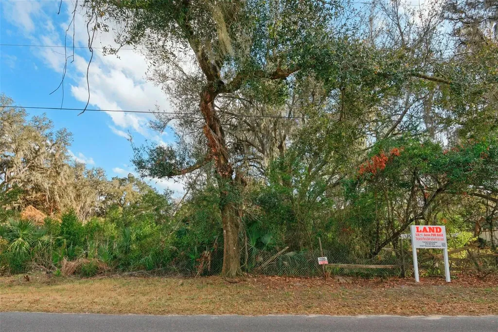 11119 Bessie Dix Road Seffner FL 33584