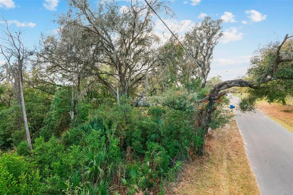 11119 Bessie Dix Road Seffner FL 33584