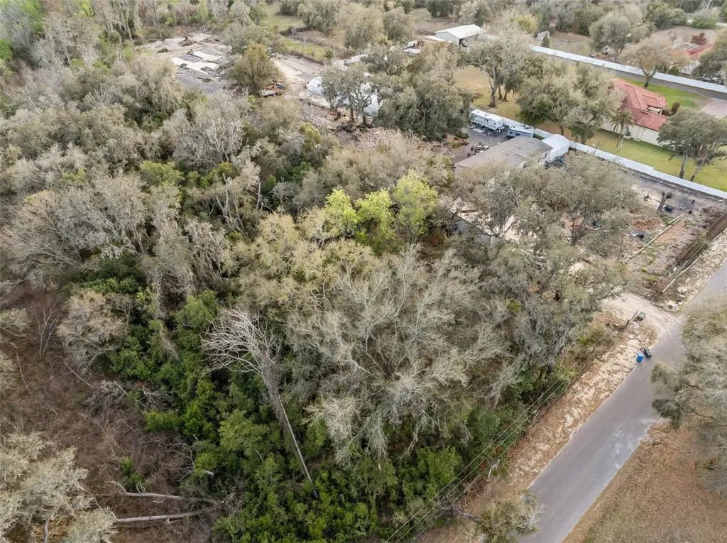 11119 Bessie Dix Road Seffner FL 33584