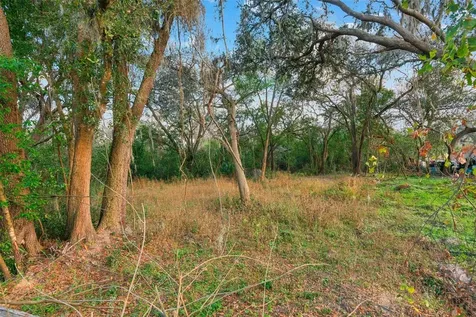 11119 Bessie Dix Road Seffner FL 33584