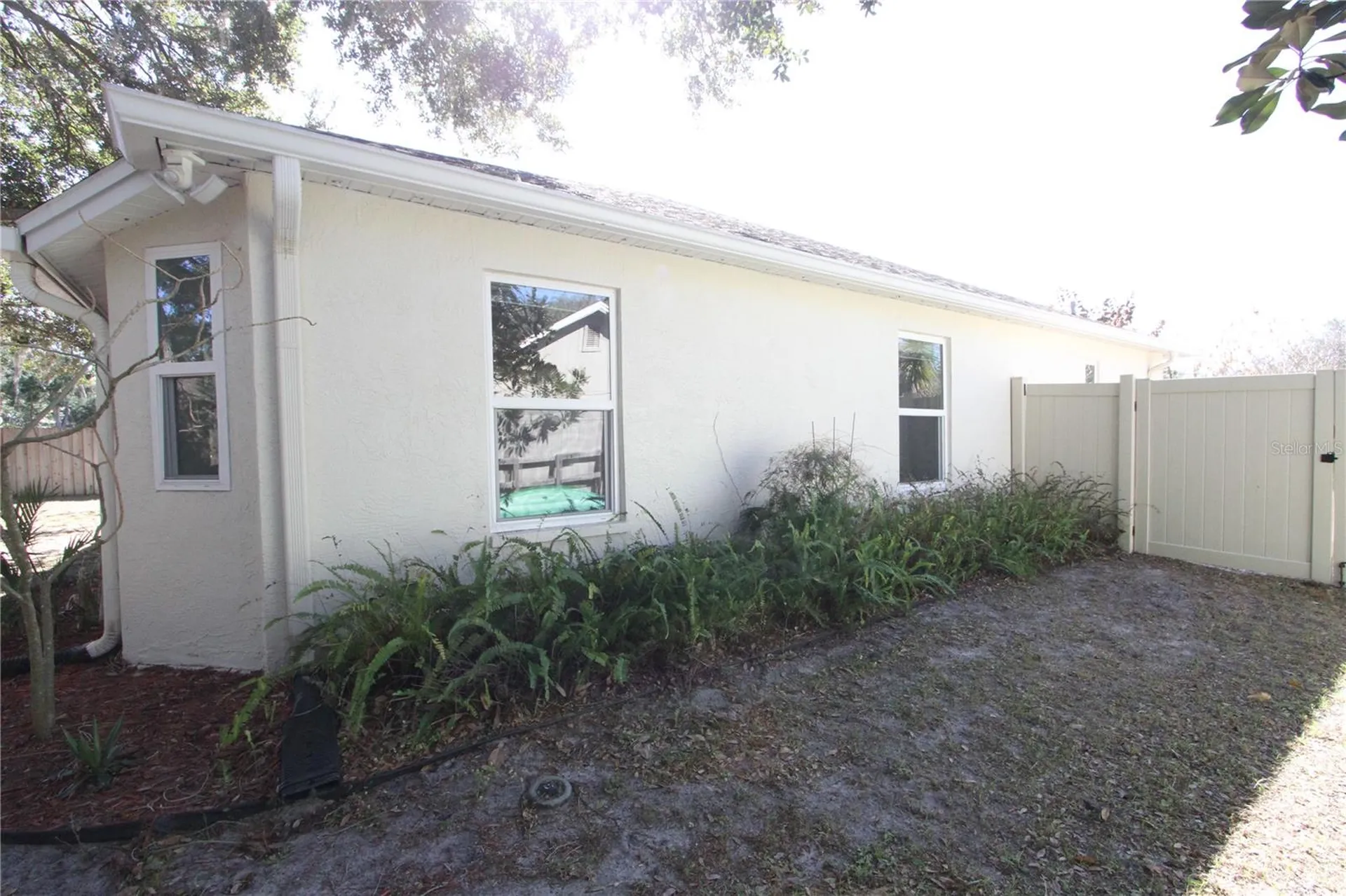 1414 Norwick Drive Lutz FL 33559