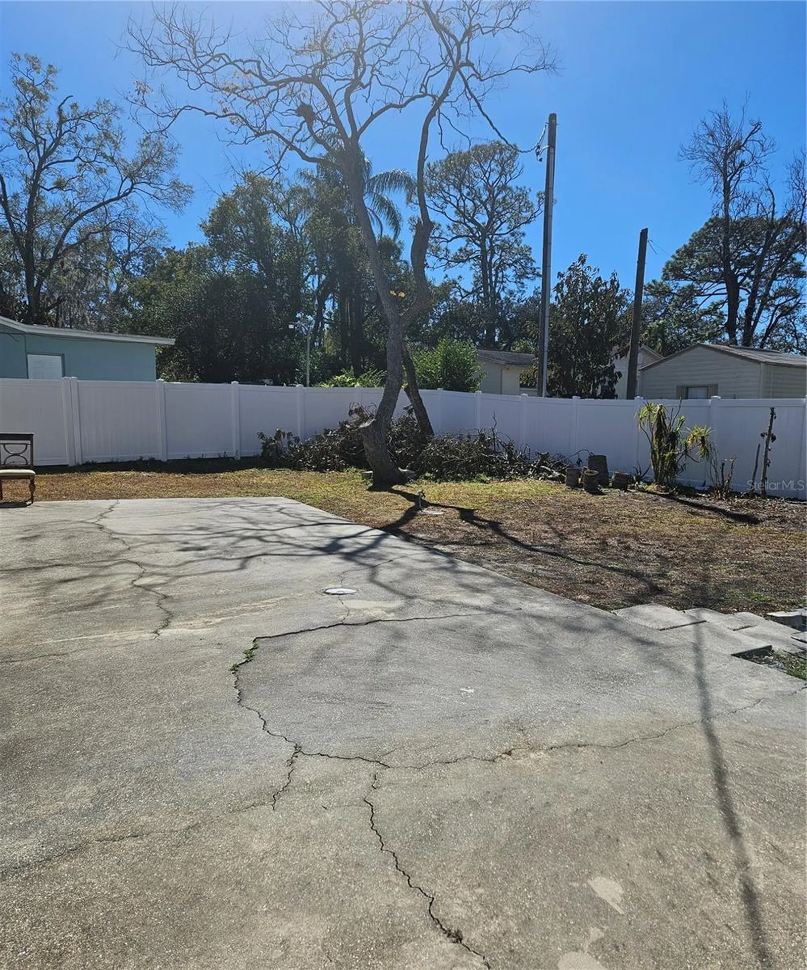 9306 Forest Hills Drive Tampa FL 33612